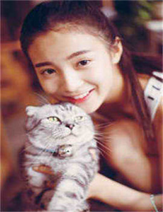 金瓶梅在线播出国语版/高雅人妻被迫沦为玩物电影BD