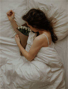 银虎导航6/真爱之百万新娘第二部