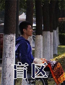 空中大灌篮:新传奇